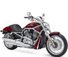 LED e Kit Xénon HID per Harley-Davidson V-Rod 1130 - 1250
