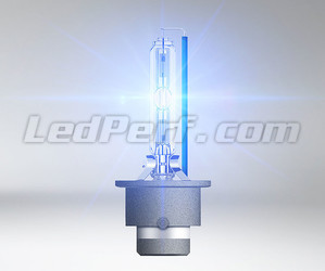 Illuminazione con lampadina allo xeno D4S Osram Xenarc Cool Blue Intense NEXT GEN 6200K - 66440CBN LED Extra White LOOK