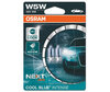Coppia di lampadine Osram W5W Cool blue Intense Next Gen LED Effect 4000K