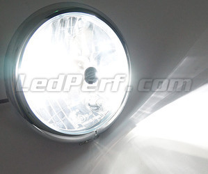 Lampadina H1 a LED Moto ajustableregolabile - Illuminazione bianca puro