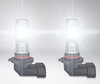 Dimensioni delle lampadine Osram LEDriving Standard H10 a LED per fendinebbia
