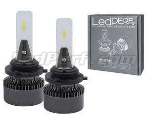 Coppia di lampadine H10 LED Eco Line dall'ottimo rapporto qualità-prezzo