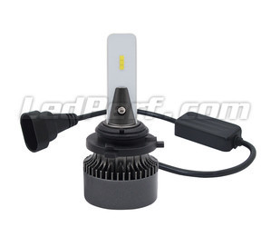 Lampadine H10 LED Eco Line connessione plug and play e Canbus anti-errore