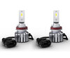 Coppia di lampadine a LED H11 Osram LEDriving HL Bright - 64211DWBRT-2HFB