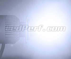 Lampadina LED COB H11 Moto