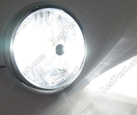 Lampadina H4 a LED Moto ajustableregolabile - Illuminazione bianca puro