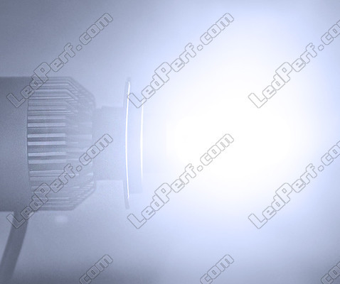 Lampadina LED COB H3 Moto