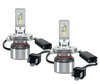 Primo piano sulle lampadine LED H4 Osram LEDriving® XTR 6000K - 64193DWXTR