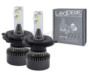 Coppia di lampadine H4 LED Eco Line dall'ottimo rapporto qualità-prezzo