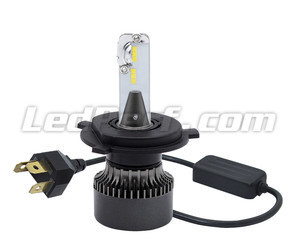 Lampadine H4 LED Eco Line connessione plug and play e Canbus anti-errore