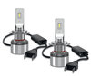 Primo piano sulle lampadine LED H7 Osram LEDriving® XTR 6000K - 64210DWXTR