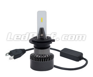Lampadine H7 LED Eco Line connessione plug and play e Canbus anti-errore