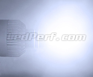 Resa H7 LED per veicoli VW Audi Skoda Seat Porsche e Mercedes