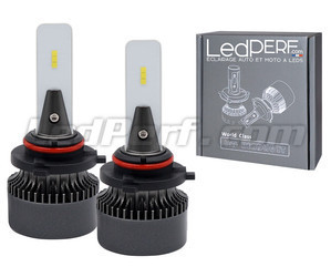Coppia di lampadine HB4 LED Eco Line dall'ottimo rapporto qualità-prezzo