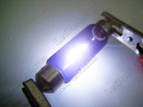 lampadina 31mm C5W alogena Blue vision Xenon effetto Led