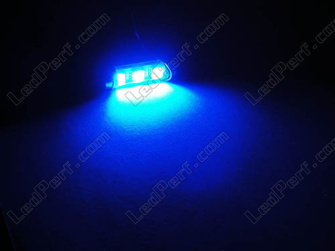 lampadina LED 37mm C5W Senza errore OBD - Anti errore OBD blu