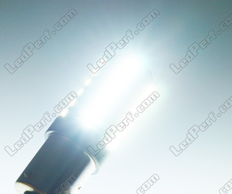 Luce lampadina P21/5W LED (BAY15D) Ultimate Ultra Potente