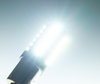 Luce lampadina P21W LED (BA15S) Ultimate Ultra Potente