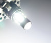 Lampadina PH16W LED bianca puro LED al dettaglio LED  PH16W