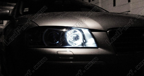 Luci di posizione a LED Audi A3 a LED anti errore OBD Xenon