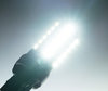 Luce lampadina W21/5W LED (T20) Ultimate Ultra Potente