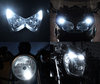 LED Indicatori di posizione bianca Xénon Harley-Davidson Custom 1200 (2000 - 2010) Tuning