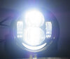 Fari a LED per Harley-Davidson Fat Bob 1690 - Ottiche moto rotonde omologate