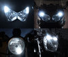 LED Indicatori di posizione bianca Xénon Harley-Davidson Iron 883 Tuning