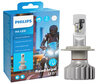 Confezione lampadine a LED Philips per Kawasaki Zephyr 1100 - Ultinon PRO6000 omologate