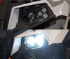 Faro LED per Polaris Scrambler XP 1000 S (2020 - 2023)