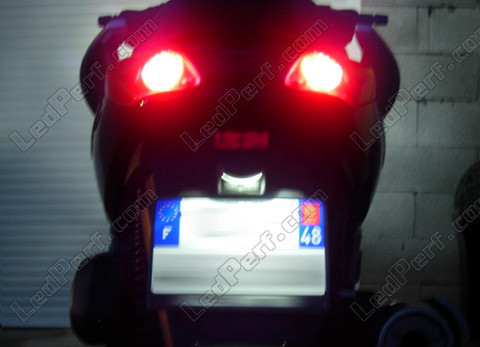 LED targa Yamaha X Max