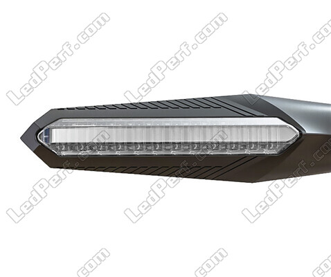 Vista anteriore Indicatori LED dinamici + luci stop per Yamaha XVS 650 Dragstar
