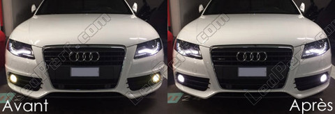 LED fendinebbia Audi A4 B8