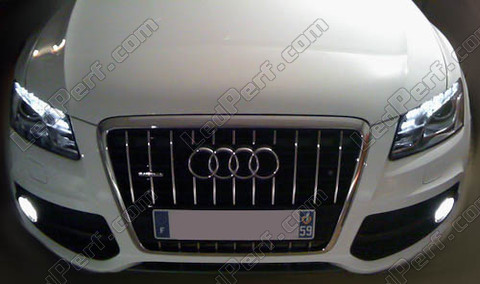 Kit lampadine fendinebbia Xenon per Audi Q5 Led