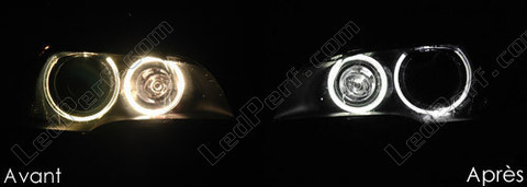 Led bianchi Xenon per angel eyes BMW X5 (E70) 6000K