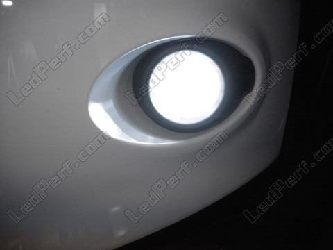 LED fendinebbia effetto Xenon Ford Focus MK3