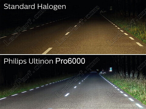Lampadine a LED Philips Omologate per Ford Focus MK4 versus lampadine originali