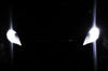 LED Indicatori di posizione bianca Xénon Ford Mondeo MK4
