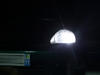 LED Indicatori di posizione bianca Xénon Honda Civic 6G