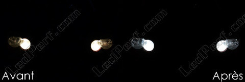 LED luci di posizione Mercedes CLK (W209)