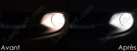 LED fendinebbia Renault Scenic 3