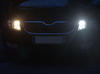 LED luci di marcia diurna - diurni Skoda Octavia 3