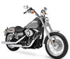 Moto Harley-Davidson Street Bob 1450 (2005 - 2006)