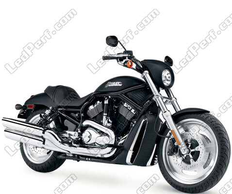 Moto Harley-Davidson Night Rod 1130 (2005 - 2007)