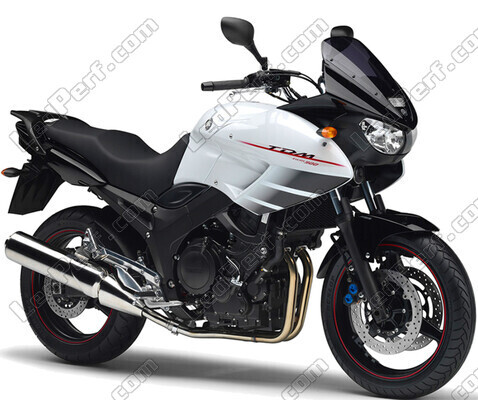 Moto Yamaha TDM 900 (2002 - 2014)
