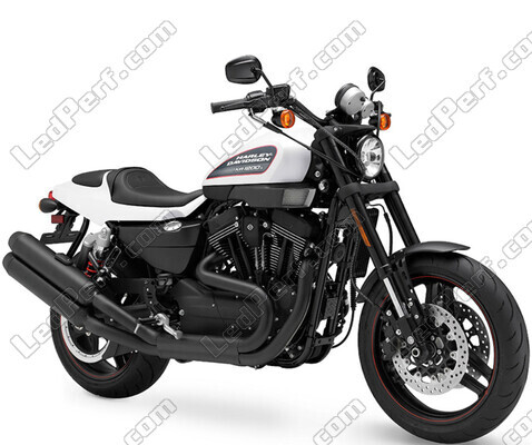 Moto Harley-Davidson XR 1200 X (2010 - 2013)