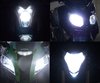 Kit lampadine fari effetto Xenon Effect per Harley-Davidson Road King Custom 1450