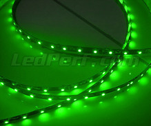 Banda flessibile standard da 50cm (30 led cms) verde