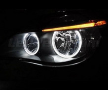 Kit angel eyes a LED per BMW Serie 5 E60 E61 Ph 2 (LCI) - senza Xenon originali