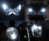 Kit luci di posizione a led (bianca Xenon) per Indian Motorcycle Scout Rogue 1133 (2022 - 2023)